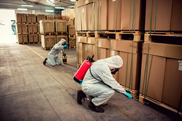 Best Emergency Pest Control  in Indian Head, MD