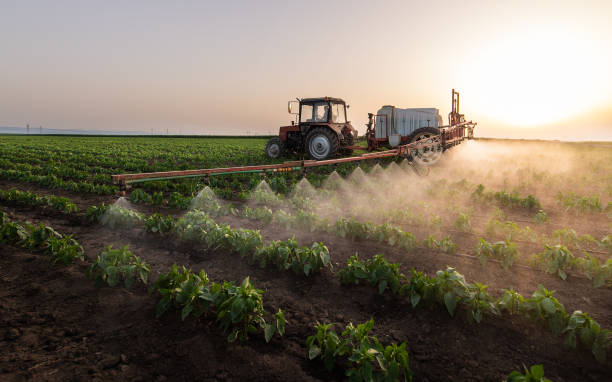 Best Commercial Pest Control Services  in Indian Head, MD