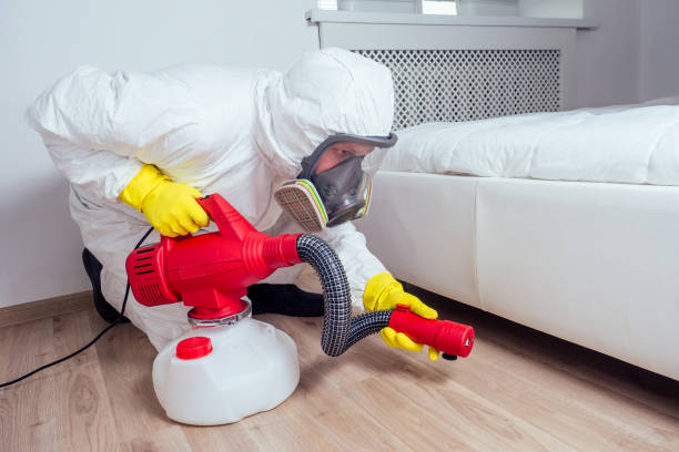 Best Mosquito Control Services  in Indian Head, MD