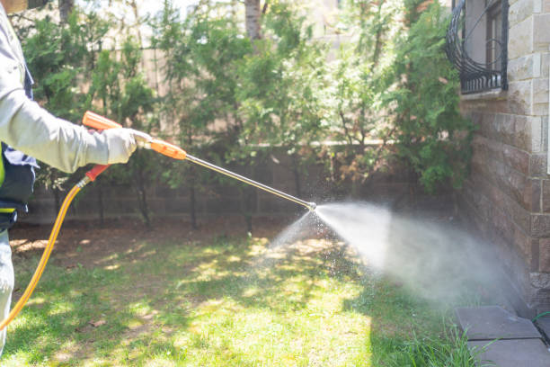 Best Pest Control for Homes  in Indian Head, MD