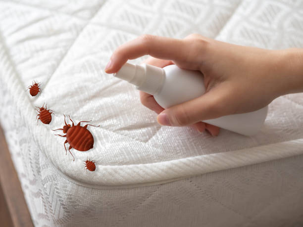 Best Pest Control for Restaurants  in Indian Head, MD