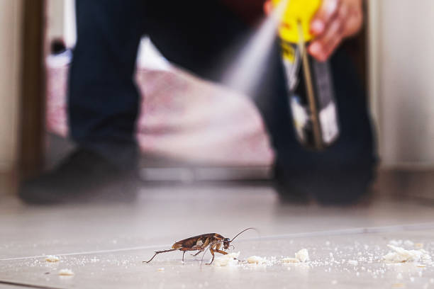 Best Residential Pest Control  in Indian Head, MD