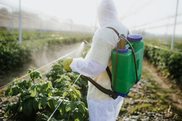 Best Rat Extermination Near Me  in Indian Head, MD